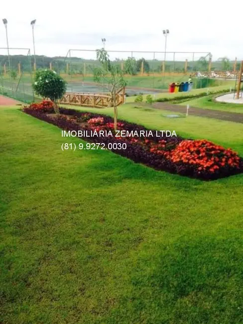 Foto 7 de Terreno / Lote com 1 quarto à venda, 44m2 em Manassu, Jaboatao Dos Guararapes - PE