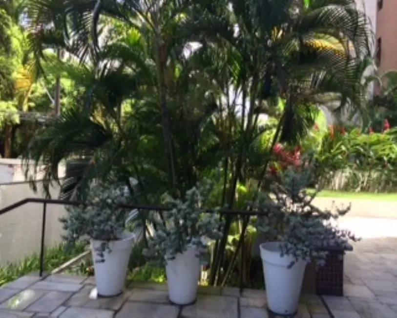 Foto 4 de Apartamento com 3 quartos à venda em Jaqueira, Recife - PE