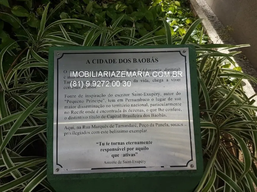 Foto 7 de Apartamento com 4 quartos à venda, 196m2 em Recife - PE