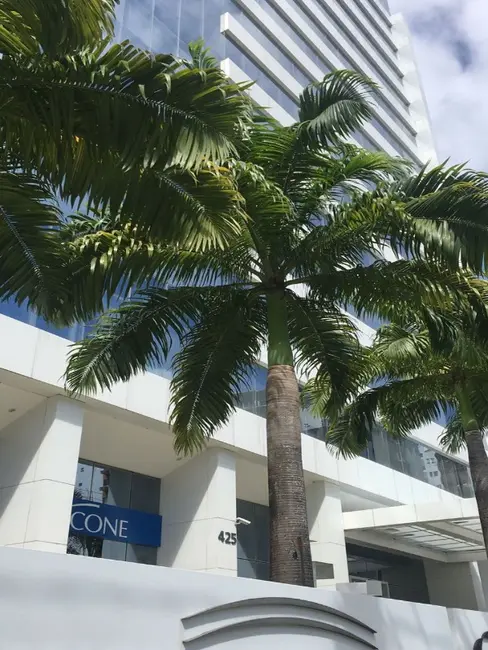 Foto 8 de Sala Comercial para alugar, 47m2 em Boa Viagem, Recife - PE