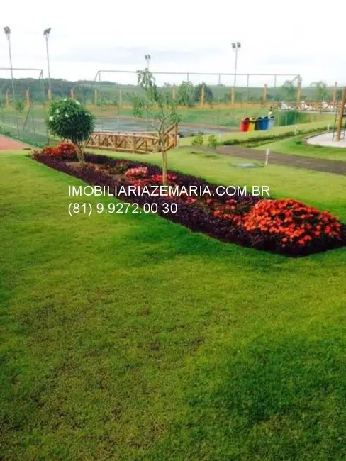 Terreno / Lote à venda, 494m2 em Manassu, Jaboatao Dos Guararapes - PE - imagem 7 Foto 7 de Terreno / Lote à venda, 494m2 em Manassu, Jaboatao Dos Guararapes - PE