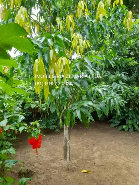 Foto 6 de Casa com 4 quartos à venda, 250m2 em Aldeia dos Camarás, Camaragibe - PE