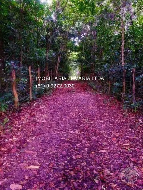 Foto 6 de Terreno / Lote à venda, 640m2 em Centro, Moreno - PE