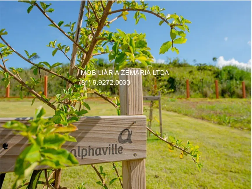 Foto 2 de Terreno / Lote com 4 quartos à venda, 320m2 em Manassu, Jaboatao Dos Guararapes - PE