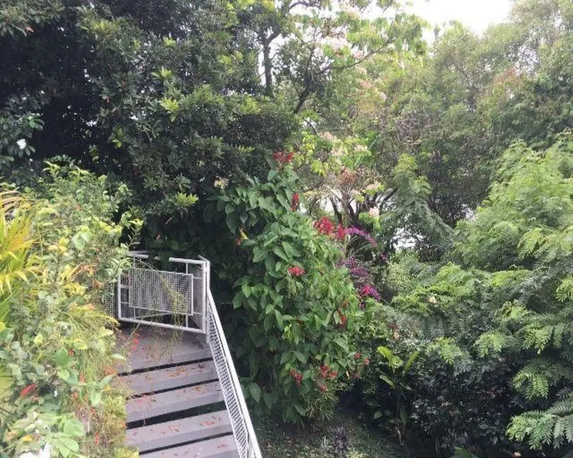 Casa com 4 quartos à venda, 350m2 em Apipucos, Recife - PE - imagem 8 Foto 8 de Casa com 4 quartos à venda, 350m2 em Apipucos, Recife - PE