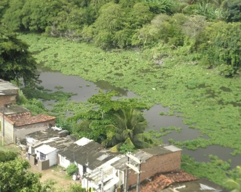 Foto 4 de Apartamento com 4 quartos à venda, 245m2 em Apipucos, Recife - PE