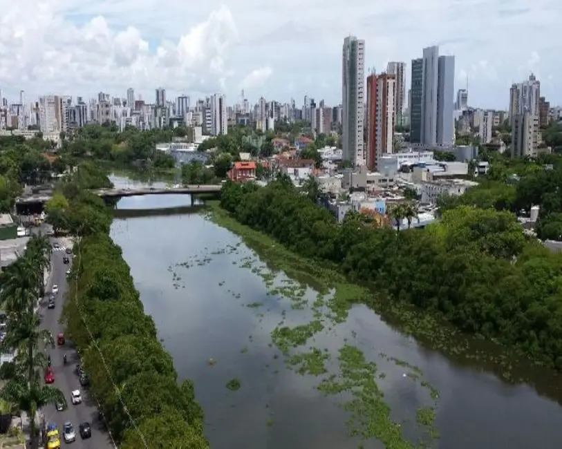 Foto 4 de Apartamento com 4 quartos à venda, 201m2 em Ilha do Retiro, Recife - PE