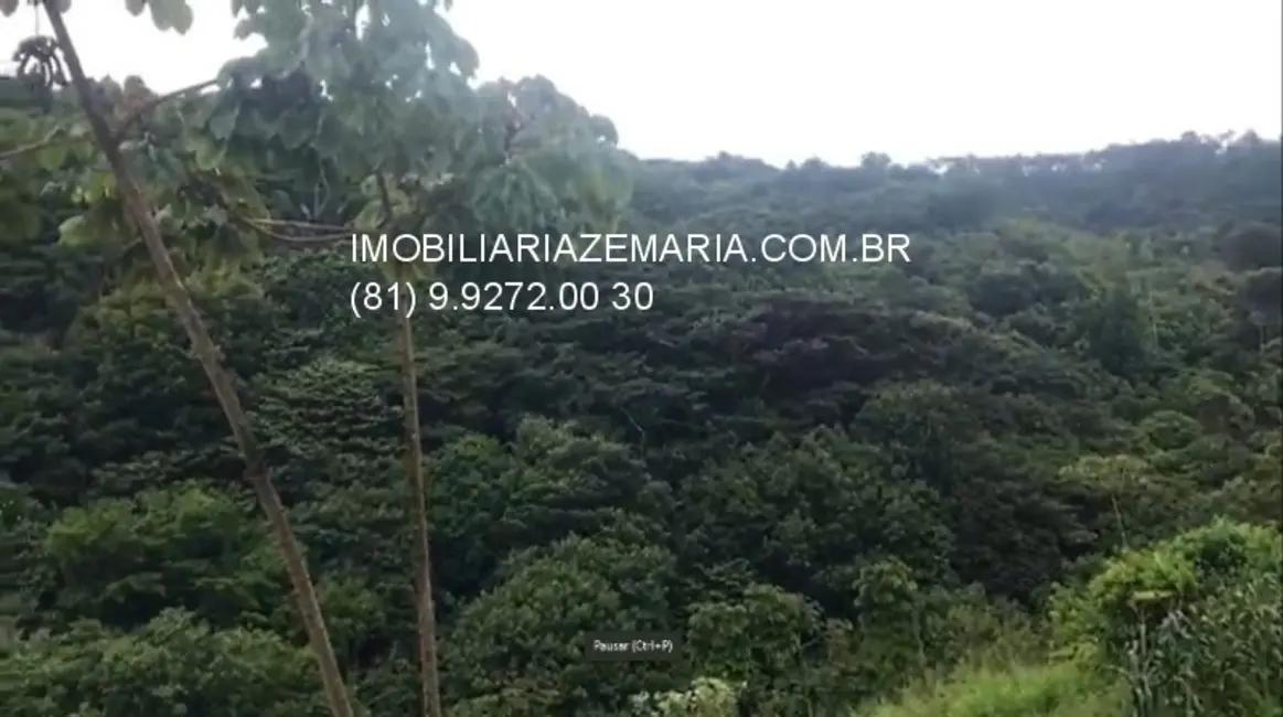 Chácara à venda, 250000m2 em Bonito - PE - imagem 12 Foto 12 de Chácara à venda, 250000m2 em Bonito - PE
