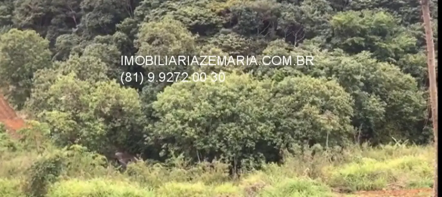 Chácara à venda, 250000m2 em Bonito - PE - imagem 10 Foto 10 de Chácara à venda, 250000m2 em Bonito - PE