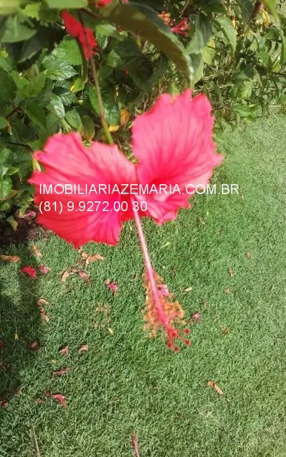 Terreno / Lote à venda, 2100m2 em Vargem Fria, Jaboatao Dos Guararapes - PE - imagem 5 Foto 5 de Terreno / Lote à venda, 2100m2 em Vargem Fria, Jaboatao Dos Guararapes - PE