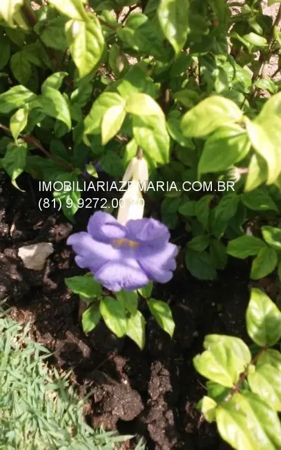 Terreno / Lote à venda, 2100m2 em Vargem Fria, Jaboatao Dos Guararapes - PE - imagem 6 Foto 6 de Terreno / Lote à venda, 2100m2 em Vargem Fria, Jaboatao Dos Guararapes - PE