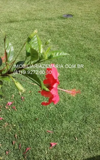 Terreno / Lote à venda, 2100m2 em Vargem Fria, Jaboatao Dos Guararapes - PE - imagem 9 Foto 9 de Terreno / Lote à venda, 2100m2 em Vargem Fria, Jaboatao Dos Guararapes - PE