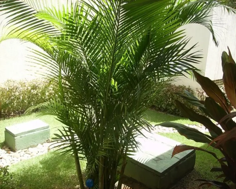 Foto 2 de Apartamento com 3 quartos à venda, 96m2 em Rosarinho, Recife - PE