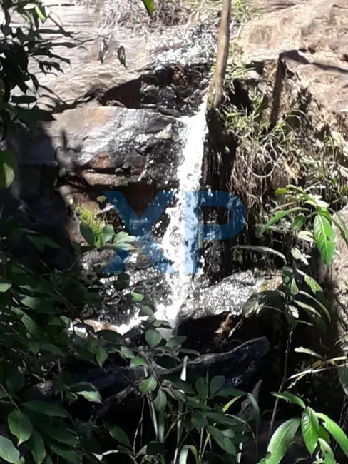 Foto 2 de Fazenda / Haras com 6 quartos à venda, 200m2 em Carmo Da Mata - MG