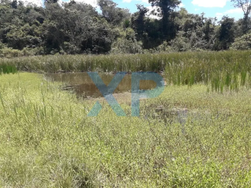 Foto 7 de Fazenda / Haras com 6 quartos à venda, 200m2 em Carmo Da Mata - MG