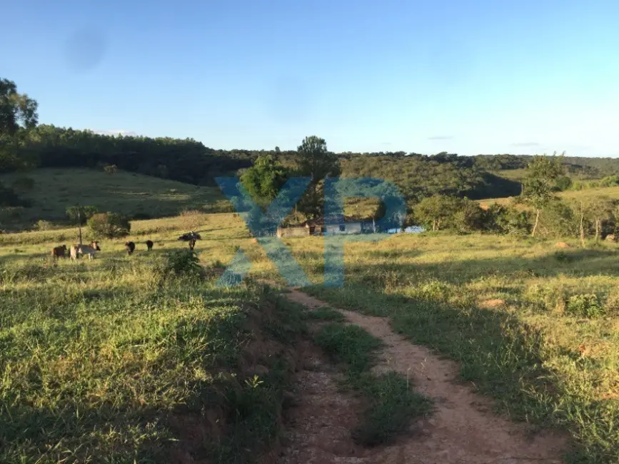 Foto 1 de Fazenda / Haras com 2 quartos à venda, 80m2 em Sao Sebastiao Do Oeste - MG