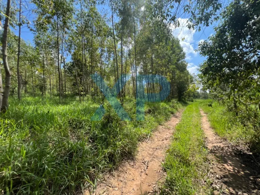 Fazenda / Haras com 2 quartos à venda, 60m2 em Sao Sebastiao Do Oeste - MG - imagem 9 Foto 9 de Fazenda / Haras com 2 quartos à venda, 60m2 em Sao Sebastiao Do Oeste - MG