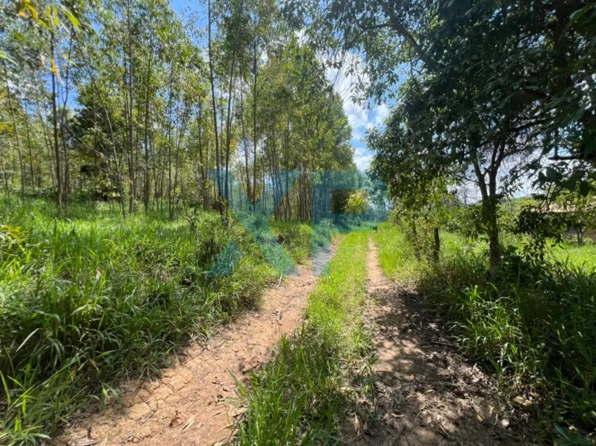 Fazenda / Haras com 2 quartos à venda, 60m2 em Sao Sebastiao Do Oeste - MG - imagem 7 Foto 7 de Fazenda / Haras com 2 quartos à venda, 60m2 em Sao Sebastiao Do Oeste - MG