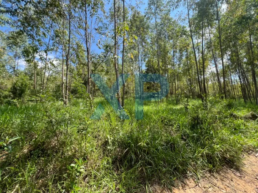 Fazenda / Haras com 2 quartos à venda, 60m2 em Sao Sebastiao Do Oeste - MG - imagem 8 Foto 8 de Fazenda / Haras com 2 quartos à venda, 60m2 em Sao Sebastiao Do Oeste - MG