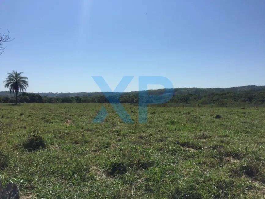 Fazenda / Haras com 3 quartos à venda, 800m2 em Divinopolis - MG - imagem 4 Foto 4 de Fazenda / Haras com 3 quartos à venda, 800m2 em Divinopolis - MG