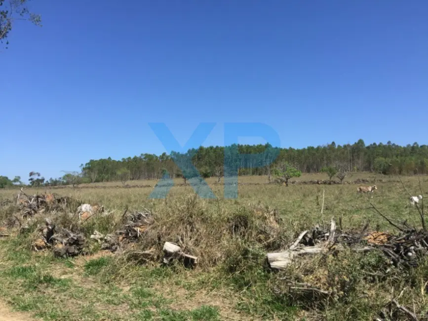 Fazenda / Haras com 3 quartos à venda, 800m2 em Divinopolis - MG - imagem 7 Foto 7 de Fazenda / Haras com 3 quartos à venda, 800m2 em Divinopolis - MG