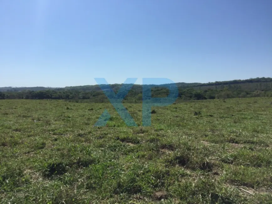 Fazenda / Haras com 3 quartos à venda, 800m2 em Divinopolis - MG - imagem 3 Foto 3 de Fazenda / Haras com 3 quartos à venda, 800m2 em Divinopolis - MG