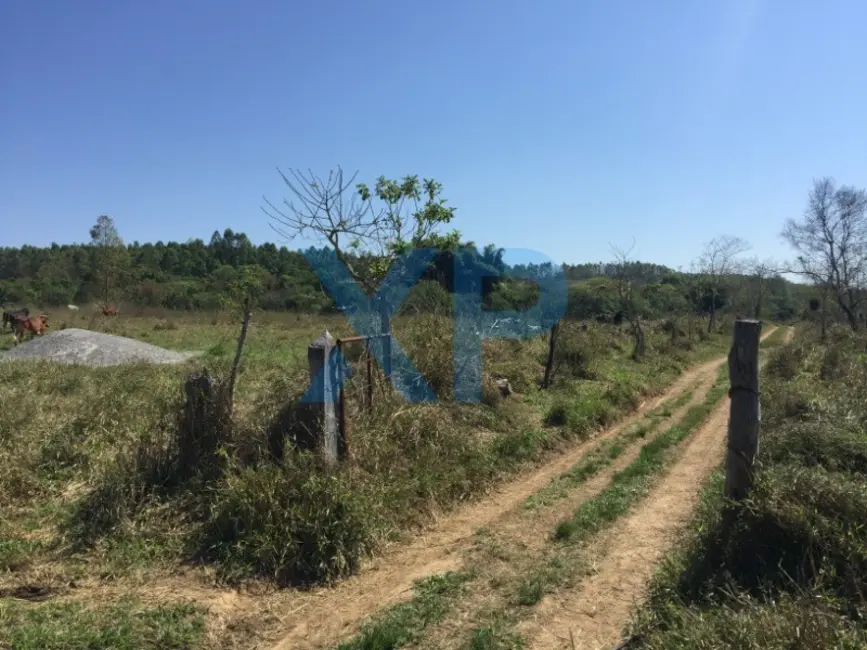 Fazenda / Haras com 3 quartos à venda, 800m2 em Divinopolis - MG - imagem 9 Foto 9 de Fazenda / Haras com 3 quartos à venda, 800m2 em Divinopolis - MG