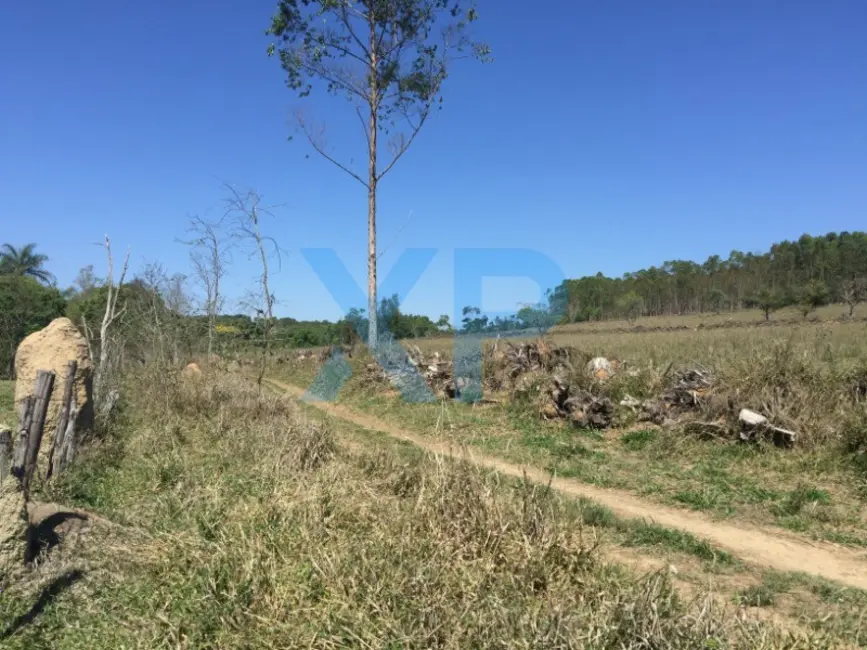 Fazenda / Haras com 3 quartos à venda, 800m2 em Divinopolis - MG - imagem 6 Foto 6 de Fazenda / Haras com 3 quartos à venda, 800m2 em Divinopolis - MG