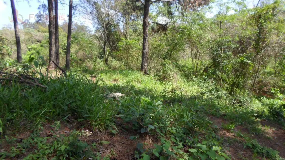 Foto 5 de Terreno / Lote à venda, 16207m2 em Santa Inês, Caieiras - SP