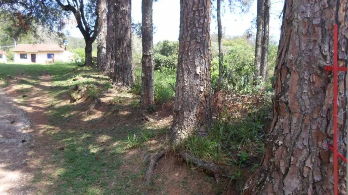 Foto 4 de Terreno / Lote à venda, 16207m2 em Santa Inês, Caieiras - SP