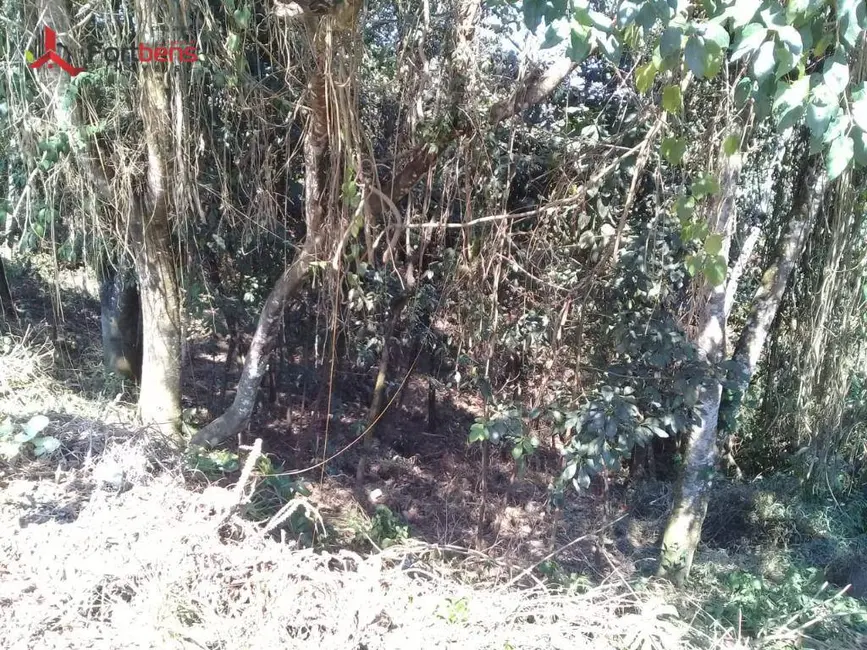 Terreno / Lote à venda, 1253m2 em Caieiras - SP - imagem 8 Foto 8 de Terreno / Lote à venda, 1253m2 em Caieiras - SP