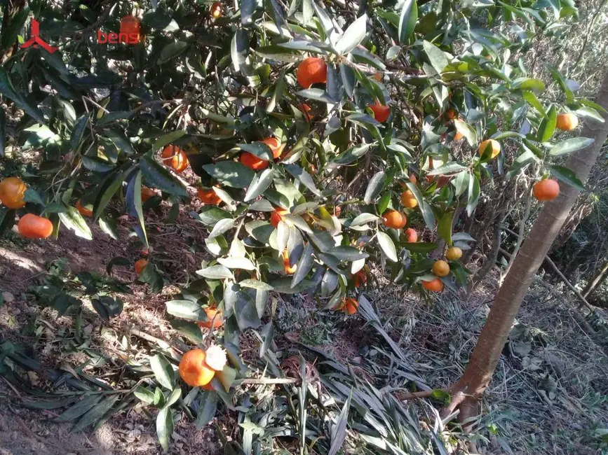 Terreno / Lote à venda, 1253m2 em Caieiras - SP - imagem 6 Foto 6 de Terreno / Lote à venda, 1253m2 em Caieiras - SP