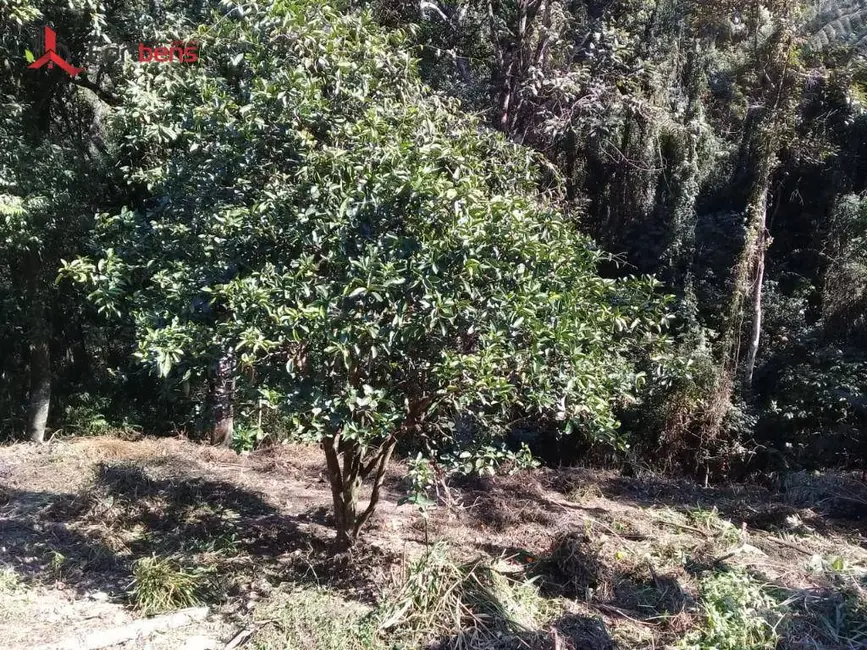 Terreno / Lote à venda, 1253m2 em Caieiras - SP - imagem 7 Foto 7 de Terreno / Lote à venda, 1253m2 em Caieiras - SP