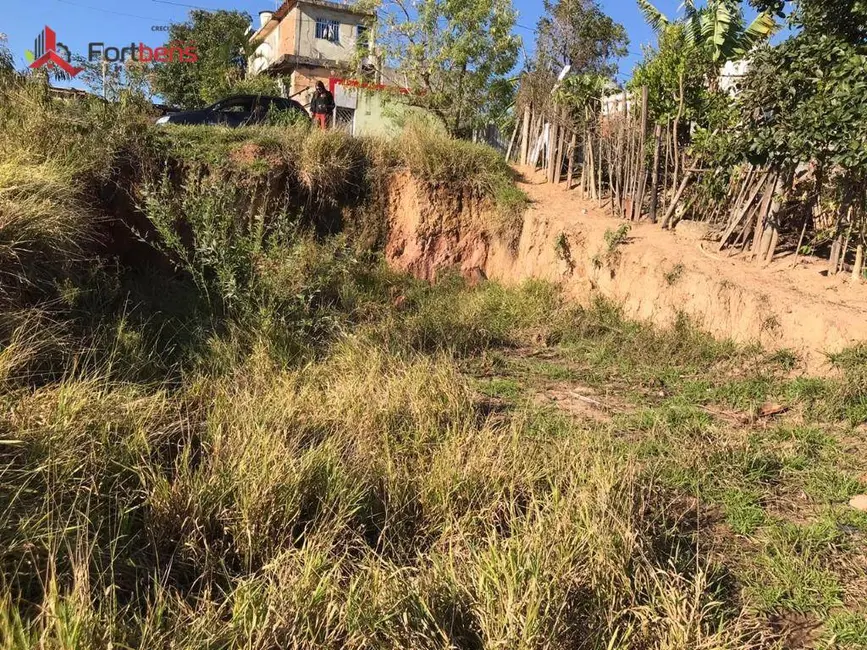 Terreno / Lote à venda, 250m2 em Jardim Olga, Francisco Morato - SP - imagem 5 Foto 5 de Terreno / Lote à venda, 250m2 em Jardim Olga, Francisco Morato - SP