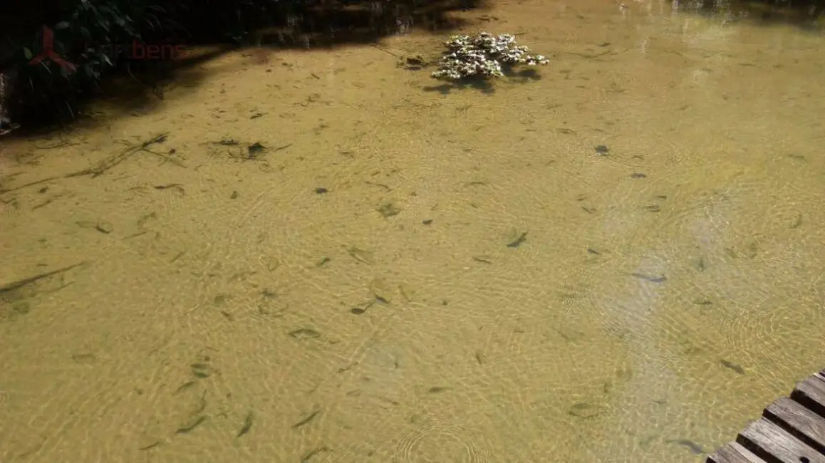 Terreno / Lote à venda, 700m2 em Santa Inês, Caieiras - SP - imagem 7 Foto 7 de Terreno / Lote à venda, 700m2 em Santa Inês, Caieiras - SP