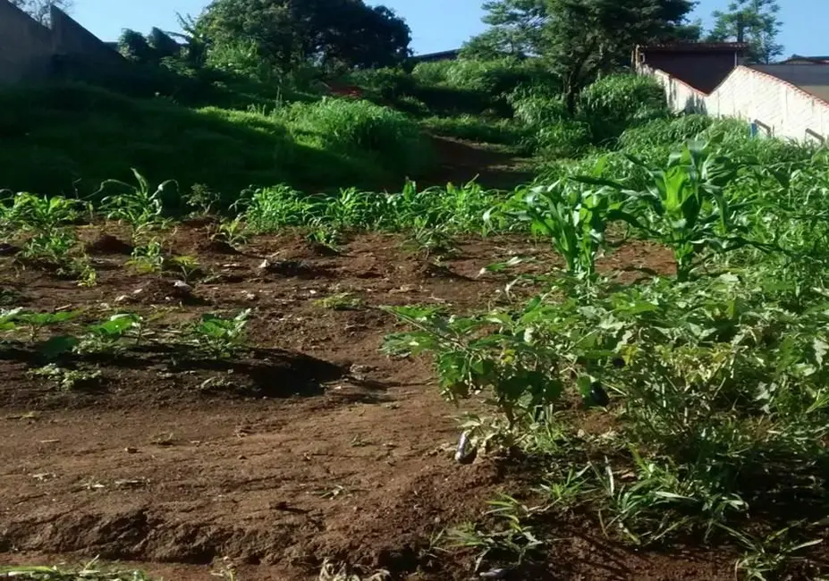 Foto 2 de Terreno / Lote à venda, 1790m2 em Jardim dos Lagos, Franco Da Rocha - SP