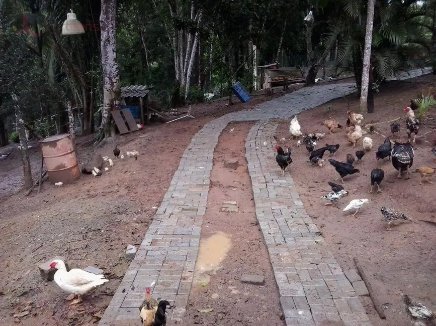 Foto 9 de Sítio / Rancho com 3 quartos à venda, 20000m2 em Centro, Juquitiba - SP