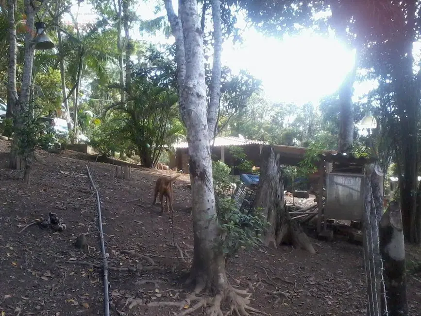 Foto 4 de Sítio / Rancho com 3 quartos à venda, 20000m2 em Centro, Juquitiba - SP
