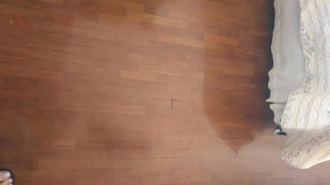 Sobrado com 2 quartos à venda, 200m2 em São Paulo - SP - imagem 8 Foto 8 de Sobrado com 2 quartos à venda, 200m2 em São Paulo - SP