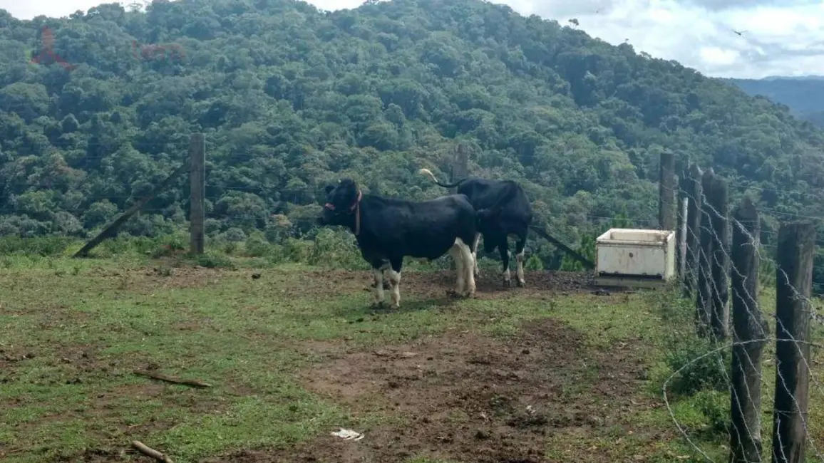 Foto 9 de Sítio / Rancho com 3 quartos à venda, 58000m2 em Miracatu - SP