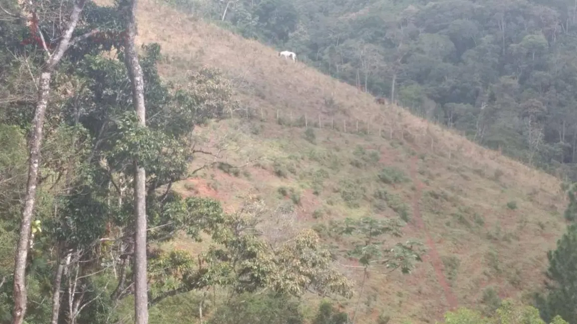 Foto 8 de Sítio / Rancho com 3 quartos à venda, 58000m2 em Miracatu - SP