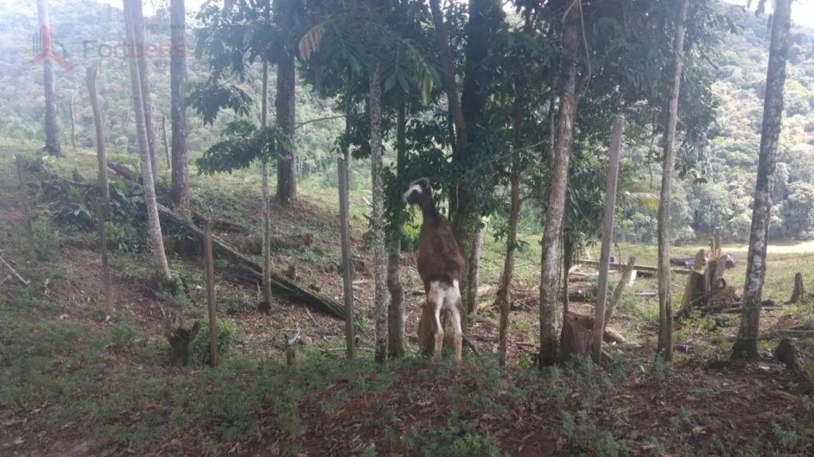 Foto 4 de Sítio / Rancho com 3 quartos à venda, 58000m2 em Miracatu - SP