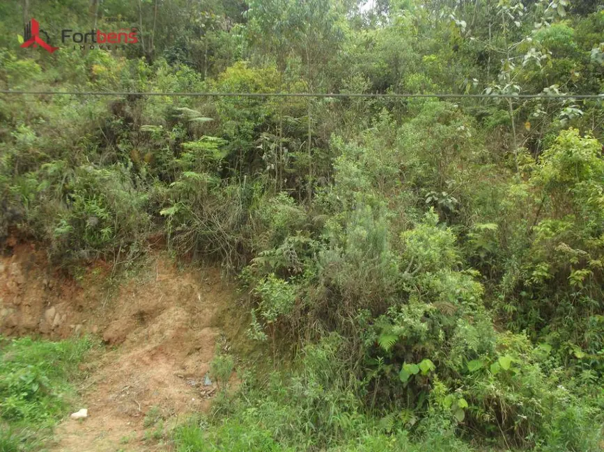 Terreno / Lote à venda, 250m2 em Jardim Alegria, Francisco Morato - SP - imagem 1 Foto 1 de Terreno / Lote à venda, 250m2 em Jardim Alegria, Francisco Morato - SP