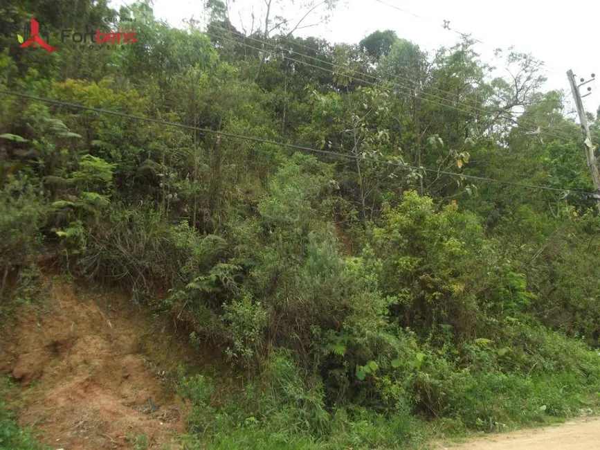 Terreno / Lote à venda, 250m2 em Jardim Alegria, Francisco Morato - SP - imagem 8 Foto 8 de Terreno / Lote à venda, 250m2 em Jardim Alegria, Francisco Morato - SP