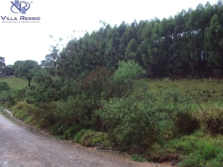 Terreno / Lote à venda, 993m2 em Pilar Do Sul - SP - imagem 3 Foto 3 de Terreno / Lote à venda, 993m2 em Pilar Do Sul - SP