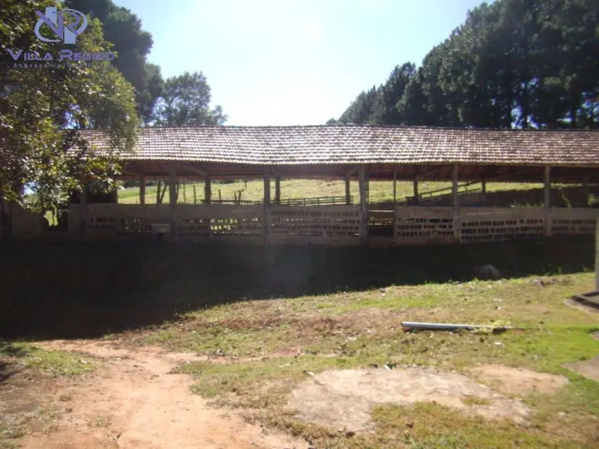 Sítio / Rancho com 2 quartos à venda, 134794m2 em Pilar Do Sul - SP - imagem 6 Foto 6 de Sítio / Rancho com 2 quartos à venda, 134794m2 em Pilar Do Sul - SP