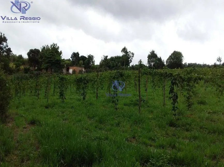 Chácara com 3 quartos à venda, 35700m2 em Pilar Do Sul - SP - imagem 8 Foto 8 de Chácara com 3 quartos à venda, 35700m2 em Pilar Do Sul - SP