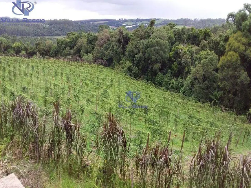 Chácara com 3 quartos à venda, 35700m2 em Pilar Do Sul - SP - imagem 7 Foto 7 de Chácara com 3 quartos à venda, 35700m2 em Pilar Do Sul - SP