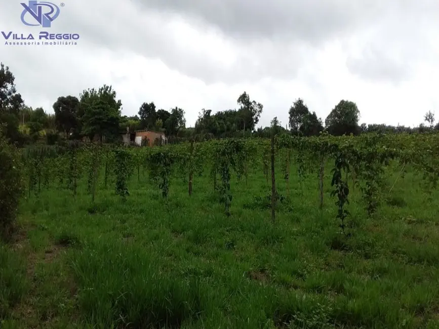 Foto 8 de Chácara com 3 quartos à venda, 35700m2 em Pilar Do Sul - SP