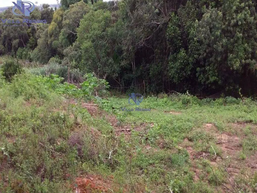 Chácara com 3 quartos à venda, 35700m2 em Pilar Do Sul - SP - imagem 5 Foto 5 de Chácara com 3 quartos à venda, 35700m2 em Pilar Do Sul - SP